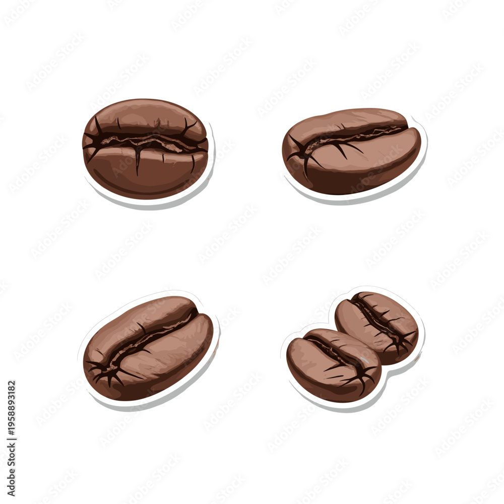 Fototapeta premium Four Realistic Coffee Beans Isolated on White Background.
