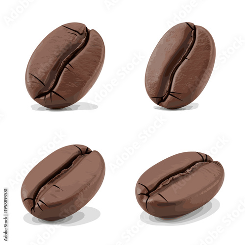 Four Roasted Coffee Beans Isolated on White Background.