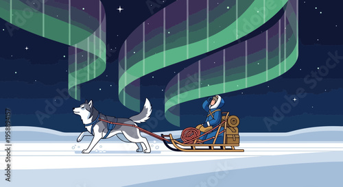 Arctic Adventure Under Northern Lights Dog Sledding Journey