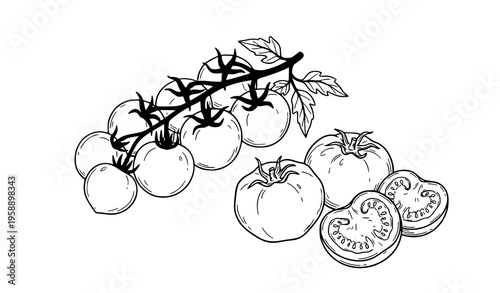 Hand drawn tomatoes set with whole and sliced fruit sketch style vector isolated on white background