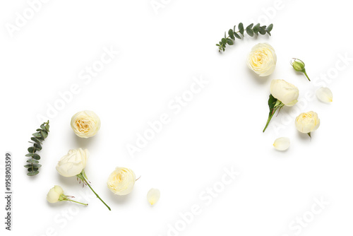 Beautiful rose flowers with petals and eucalyptus branches on white background