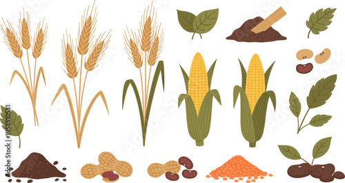 Agricultural Crops Icon Set Featuring Wheat, Corn, Peanuts, Beans, and Planting Seeds
