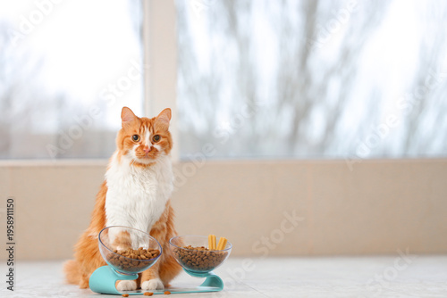 Cute cat sitting near bowls...