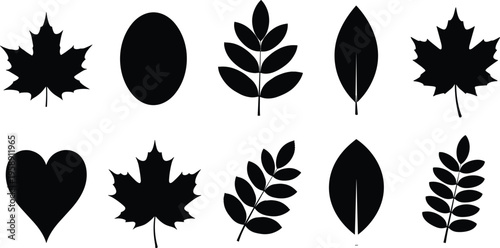 Set of Ten Black Leaf Silhouette Icons Including Maple Oak and Heart Shapes for Autumn Season Nature Design and Botanical Projects