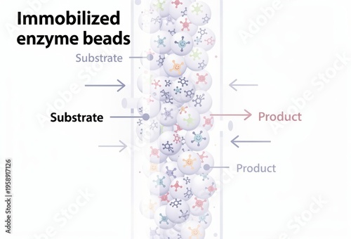 Visualization of immobilized enzyme beads illustrating substrate conversion into product showcasing biochemical processes and enzyme efficiency in modern laboratories
