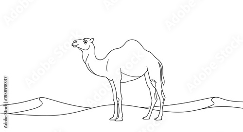 Outlined camel standing in desert landscape with sand dunes illustration