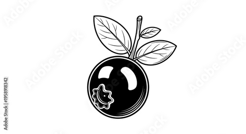 Black and white illustration of a ripe blueberry with leaves and stem