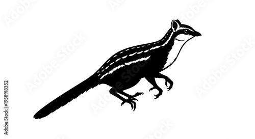 Striking black and white illustration of a bilby animal on a clean white backdrop