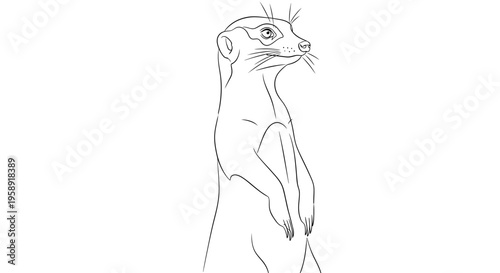 Line art illustration of a meerkat standing and alert in profile view