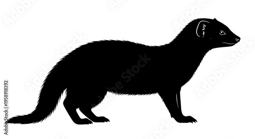 Black silhouette of a mammal against a white background for design projects