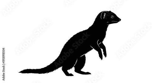 Black silhouette of a mongoose standing on hind legs on white background
