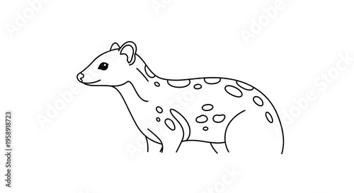 Outline illustration of a quoll isolated cartoon animal with spots