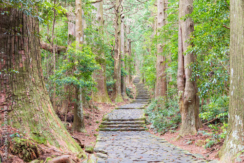 世界遺産　熊野古道　大門坂