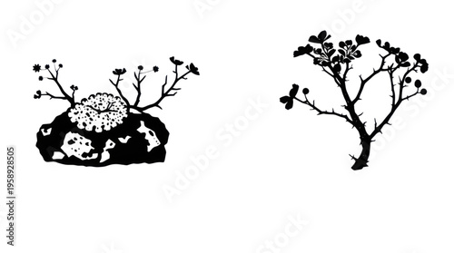 Botanical Illustrations of Two Unique Stylized Black and White Plant Species on a Transparent Background