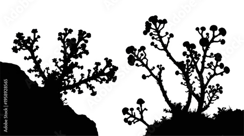 Silhouette of Botanical Plants with Buds Against Transparent Background