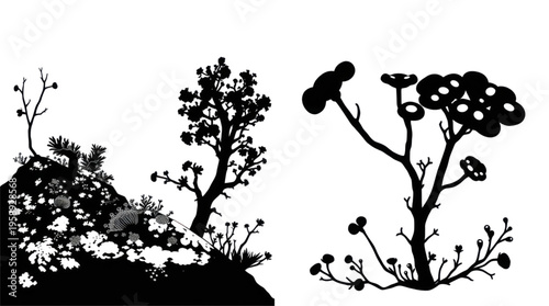 Stylized Black and White Botanical Illustration of Diverse Flora