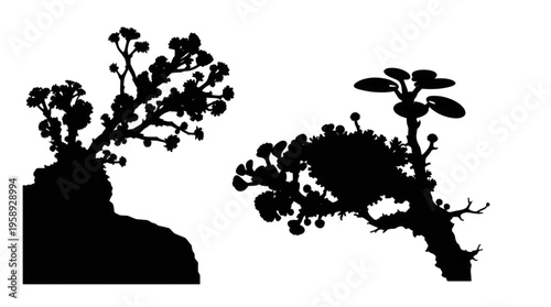 Silhouette Abstract Plants on Transparent Background Showing Nature Graphic Design