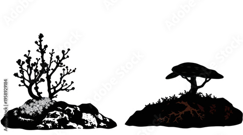 Silhouette of Mound Tree and Umbrella Tree on a Rock Mound with Transparent Background