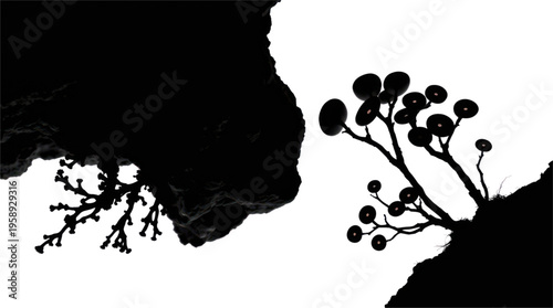 Abstract Organic Forms Silhouetted Against Transparent Background in Minimalist Composition