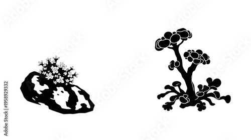 Organic Botanical Illustration of Abstract Black White Plant Life Forms