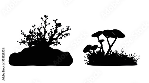 Silhouette Plants Displaying a Stylized Bush on a Rock and a Group of Wild Mushrooms