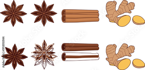 Collection of spice ingredient illustrations featuring star anise, cinnamon sticks and fresh ginger roots in flat vector style isolated on light background for cooking design