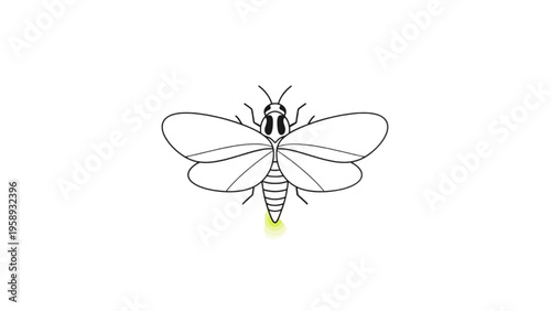 Minimalist Line Art Illustration of a Glowing Firefly, Capturing Its Delicate Nocturnal Light