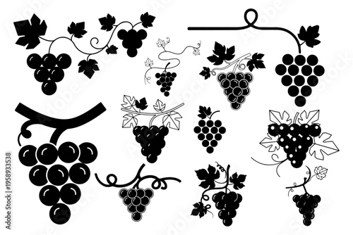 Grapes Design Elements Vector Illustration Botanical Fruit Collection Set