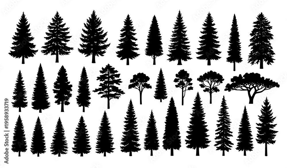 Fototapeta premium Monochrome Vintage Forest Tree Silhouettes Set with Pine and Spruce Nature Elements