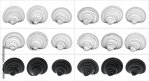 Collection of various mollusk shell illustrations showing growth rings and silhouette variations