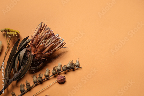 Composition with different ...