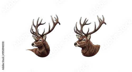 Two deer heads with large antlers.