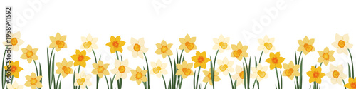 Spring daffodil floral border, narcissus flowers banner, yellow garden flowers. Hand drawn vector illustrations
