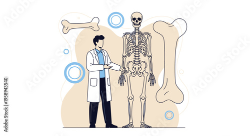 Doctor examining human skeleton, illustration of bone health and anatomy