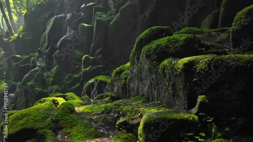 夏でも涼しい菊池渓谷