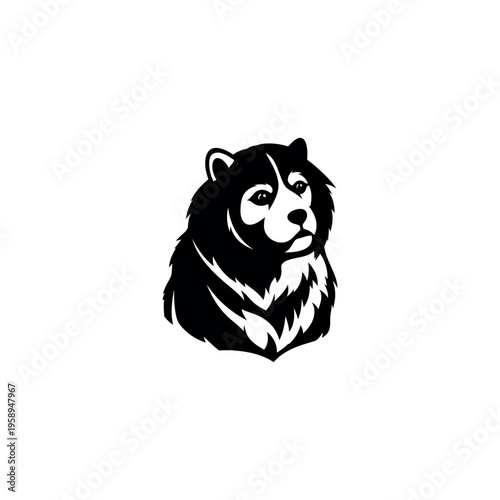 Black and white dog head portrait.