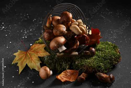 Colander with moss, dried l...