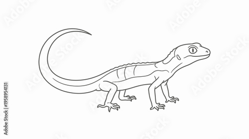 Black and white line art illustration of a lizard, showcasing its detailed outline and reptilian features.