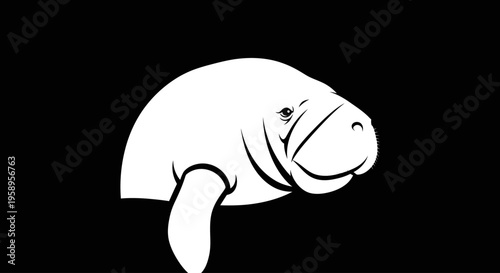 White manatee silhouette on black background simple illustration.