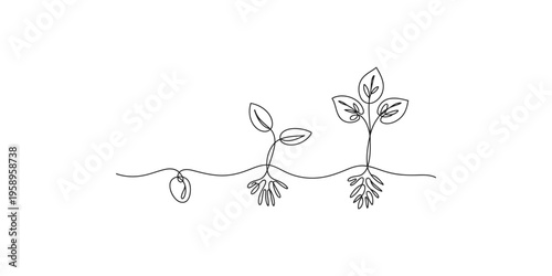Continuous line drawing of seed germination and growth stages plant sprout seedling root leaves minimalist