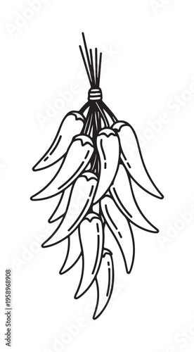 Hand Drawn Chili Pepper Bunch Line Art Illustration