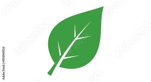 Green Leaf