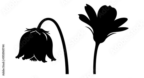 Black flower silhouettes, blooming and budding, floral vector icons, minimalist design elements
