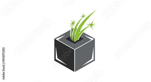 Growth And Innovation Emerging From A Solid Foundation