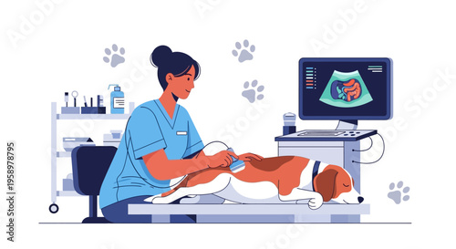 Veterinarian performing ultrasound on a dog patient.