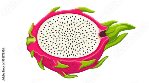 Vibrant Dragon Fruit Half Slice Illustration.