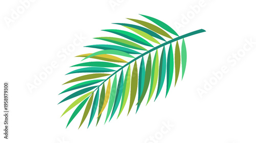 Vibrant Green Palm Frond Leaf Illustration on White Background.