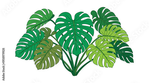 Vibrant Green Monstera Plant Leaves Illustration.