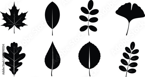 Large collection of black silhouettes featuring wild turkeys, forest tree borders, mythical dragons, rabbits, grizzly bears, grass bushes, and various leaf types for vector design.