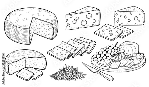 Black and white cheese varieties hand drawn sketch food vector illustration set